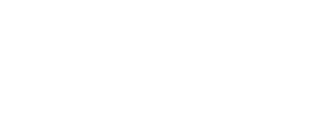 Health Journal